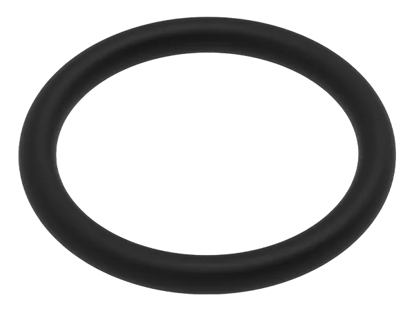 Produktfoto: Ein einfacher schwarzer O-Ring aus Kunststoff.